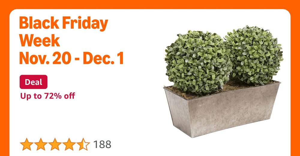 Double Ball Aglaia Boxwood in Slanted Rustic Tin